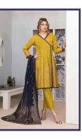 riaz-arts-intenso-broshia-banarsi-lawn-2020-8